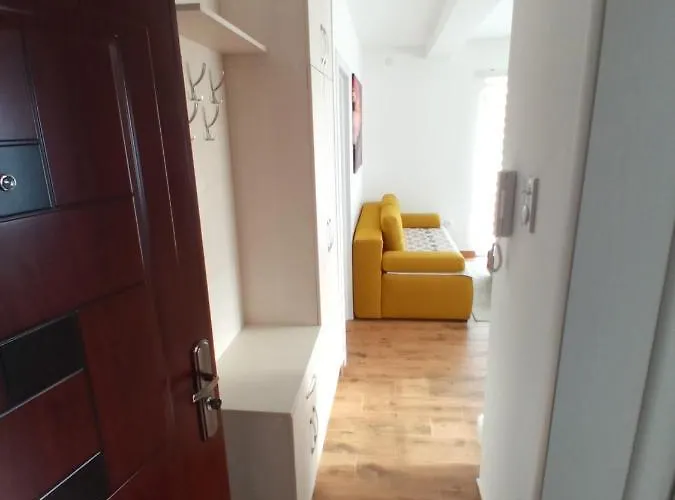 Mk * ズラティボール