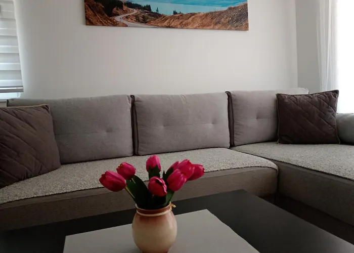 Mk アパート ズラティボール